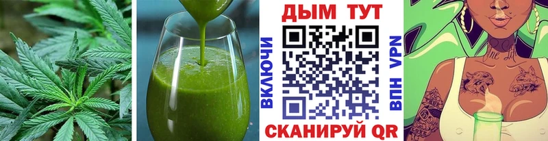 блэк спрут   Дмитриев  Cannafood конопля 
