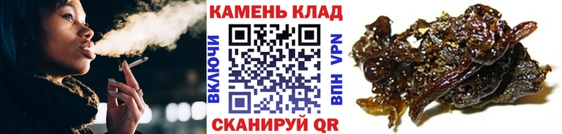 ГАШ Premium где найти Дмитриев