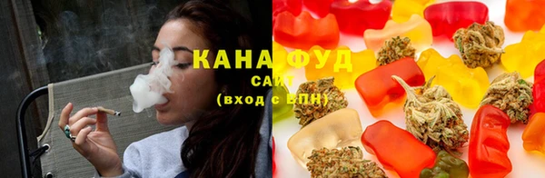 дмт Надым