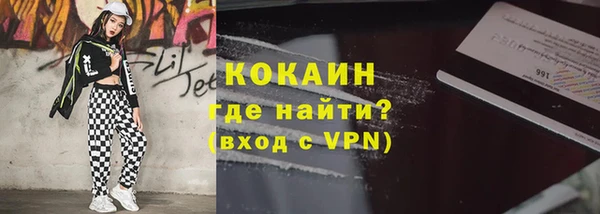 гашик Михайлов