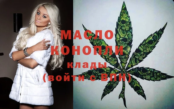 дмт Надым