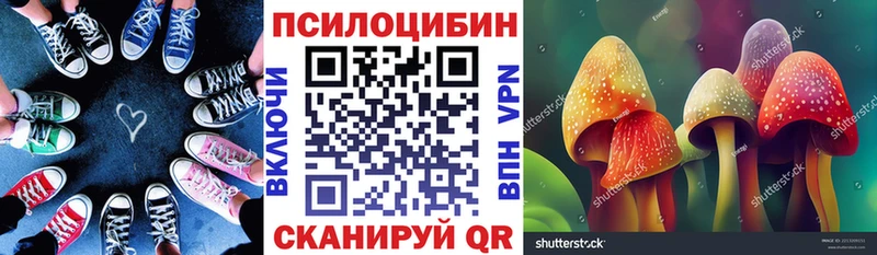 купить закладку  это телеграм  Галлюциногенные грибы GOLDEN TEACHER  Дмитриев 